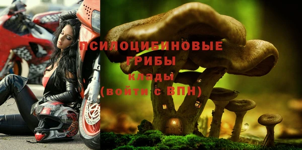 скорость Баксан