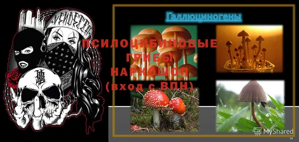 скорость Баксан