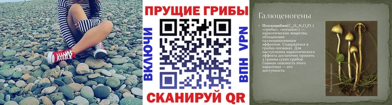 Галлюциногенные грибы мухоморы купить закладку Городовиковск