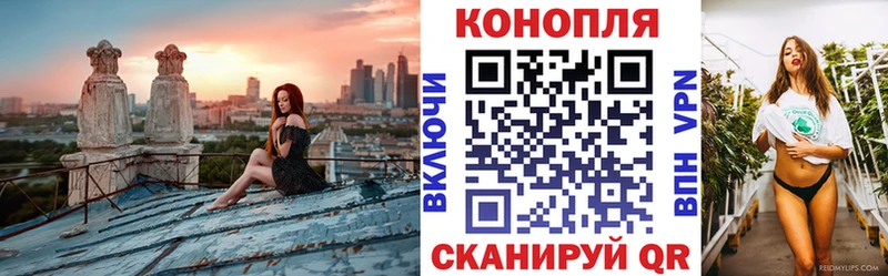 купить наркотики сайты  ссылка на мегу зеркало  Марихуана SATIVA & INDICA  Городовиковск 